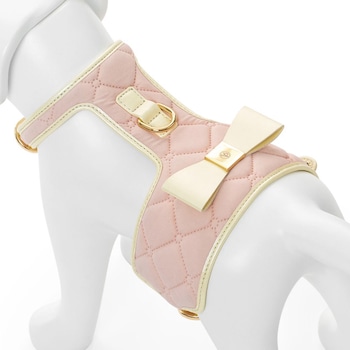 E-Commerce National Dog Day, Quilted Harness